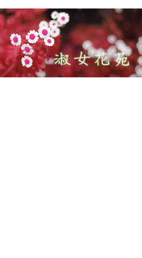 第33页图