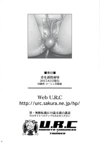第33頁圖