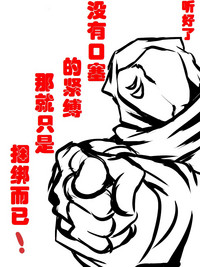第33页图