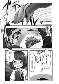 第17页图
