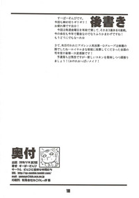 第17页图