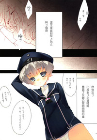第17页图