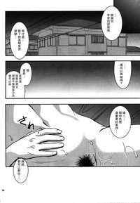 第33页图