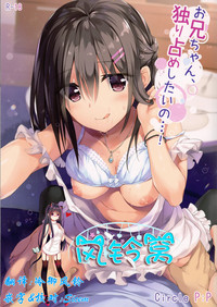 第1頁圖