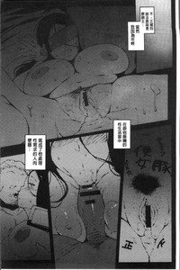 第33页图