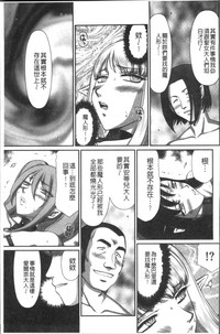 第213頁圖
