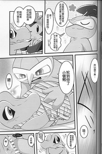 第13页图