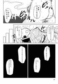第33页图
