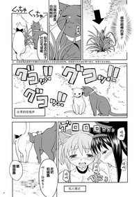 第29頁圖
