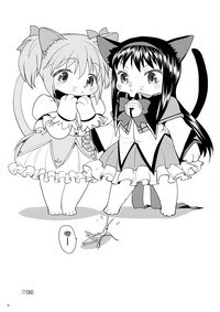 第33頁圖