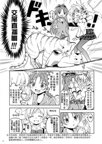 第45頁圖