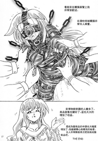 第17页图