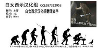 第41頁圖
