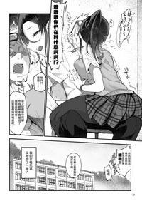 第33页图