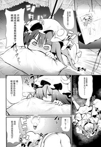 第13頁圖