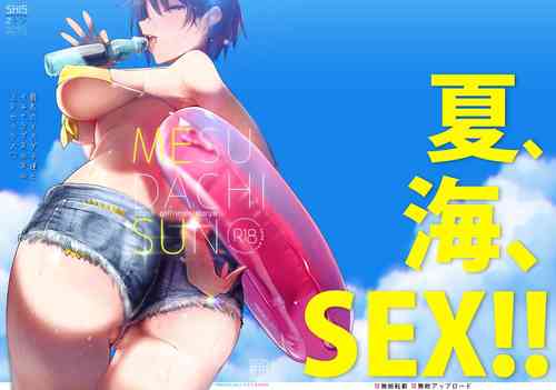 メスダチSUN图
