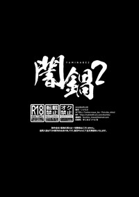 第13页图