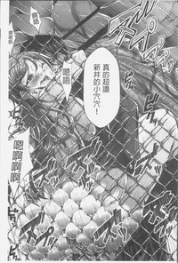 第133頁圖