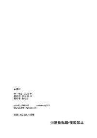 第33頁圖