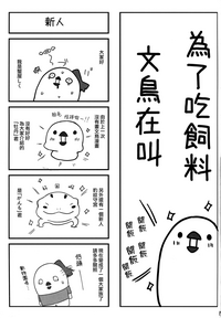 第17页图