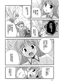 第45頁圖