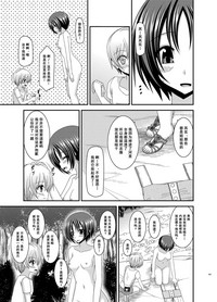 第101頁圖