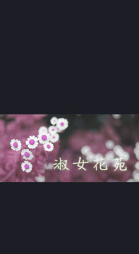 第217頁圖