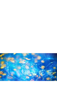第217頁圖