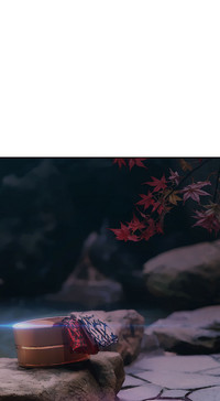 第97頁圖