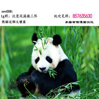 第41页图