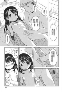 第101頁圖