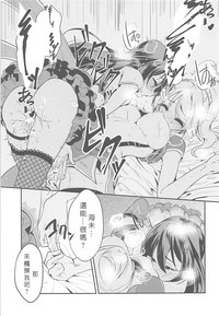 第29頁圖