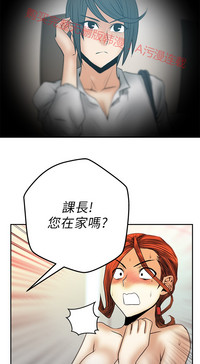 第505頁圖