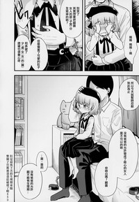 第33頁圖