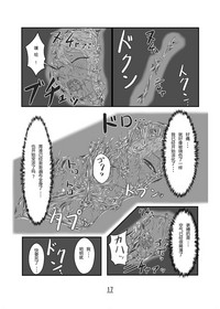 第17页图