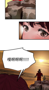 第333頁圖