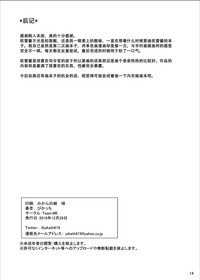 第13页图