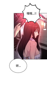 第245頁圖