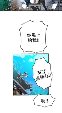 第565頁圖