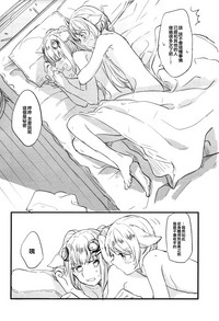 第29頁圖