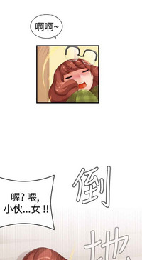 第333页图