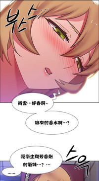第517頁圖