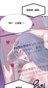 第605頁圖