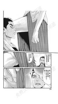 第333页图