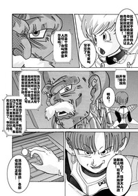 第17页图