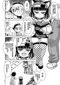 第33页图