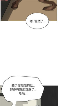 第493頁圖