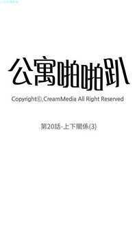 第593頁圖