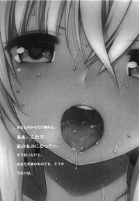 第33頁圖