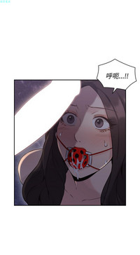 第209頁圖